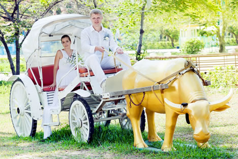 Hochzeitskutschen und Pferdekutschen ~ Fahrzeuge und Wagen für Trauung und Hochzeit